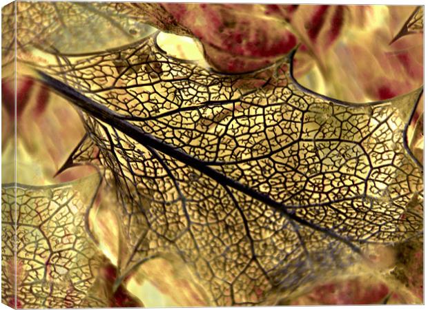 golden leaf Canvas Print by Heather Newton
