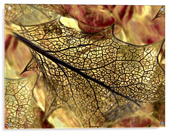 golden leaf Acrylic by Heather Newton