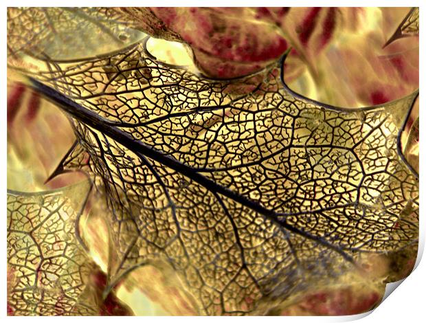 golden leaf Print by Heather Newton
