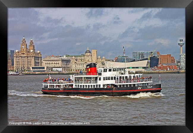 Royal Iris, Liverpool Framed Print by Rob Lester