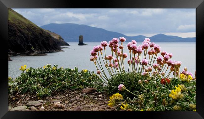 Kinard Beach Framed Print by barbara walsh