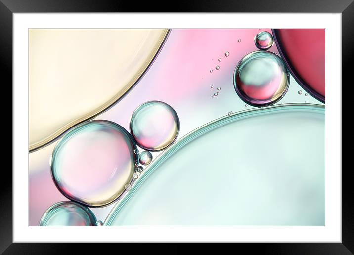 Aqua Fresh Bubble Abstract Framed Mounted Print by Sharon Johnstone