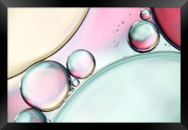 Aqua Fresh Bubble Abstract Framed Print by Sharon Johnstone