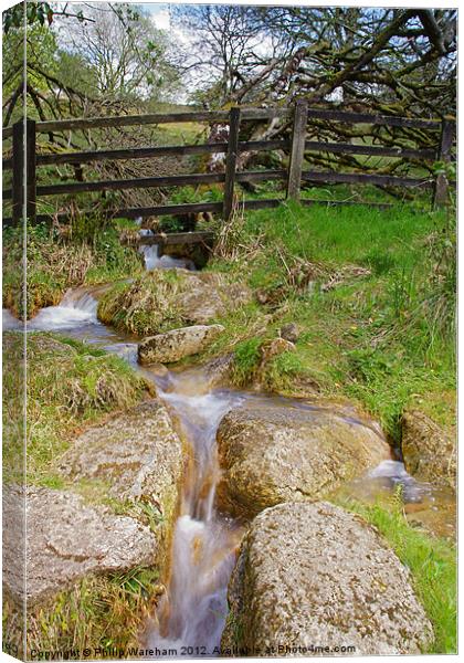 Little Waterfall Canvas Print by Phil Wareham