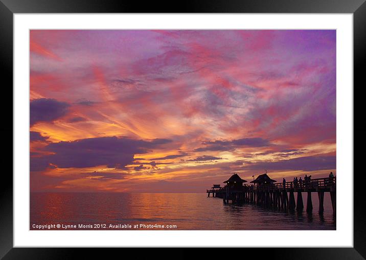 Natures Paint Brush Framed Mounted Print by Lynne Morris (Lswpp)