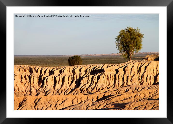 Lone Tree After Sunrise at Mungo Framed Mounted Print by Carole-Anne Fooks
