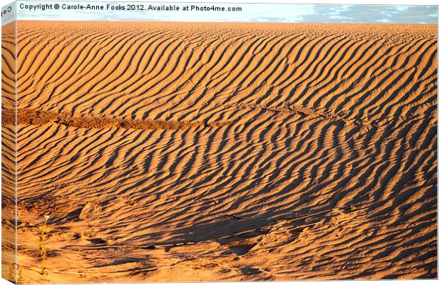 Dune detail after Sunrise Canvas Print by Carole-Anne Fooks