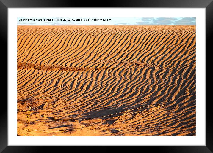 Dune detail after Sunrise Framed Mounted Print by Carole-Anne Fooks