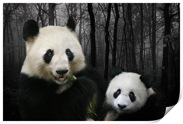 Giant Pandas Print by Julie Hoddinott