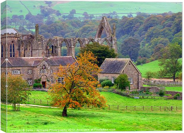 Bolton Abbey 1 Canvas Print by Colin Williams Photography