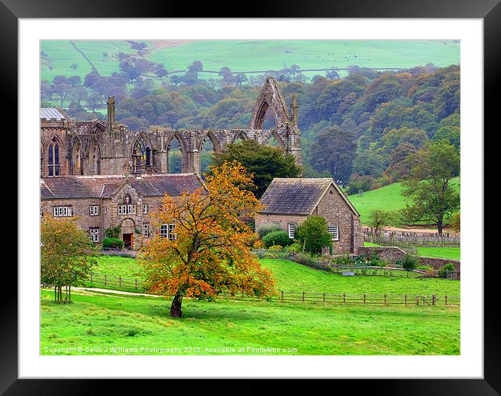 Bolton Abbey 1 Framed Mounted Print by Colin Williams Photography