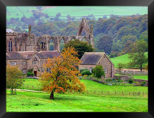 Bolton Abbey 1 Framed Print by Colin Williams Photography