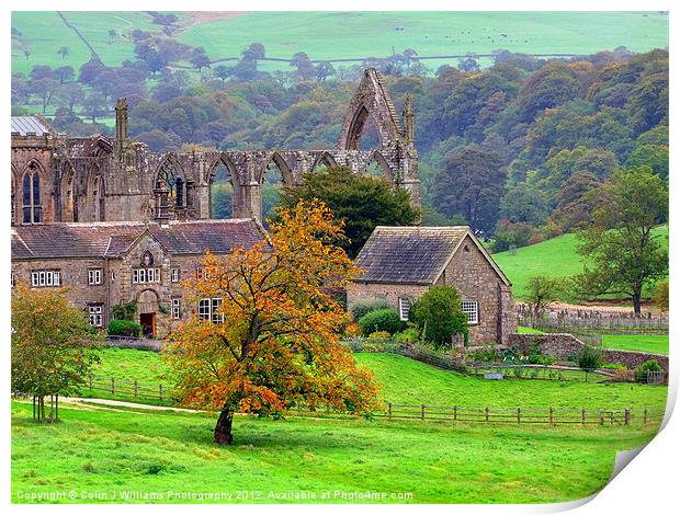 Bolton Abbey 1 Print by Colin Williams Photography