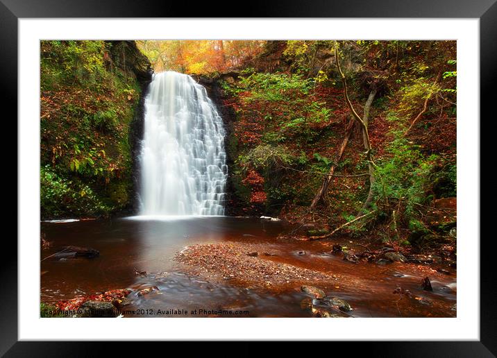Falling Foss, North Yorkshire Framed Mounted Print by Martin Williams