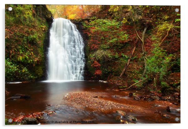Falling Foss, North Yorkshire Acrylic by Martin Williams