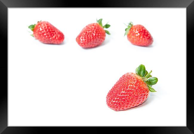 Four Strawberries Framed Print by Helen Northcott
