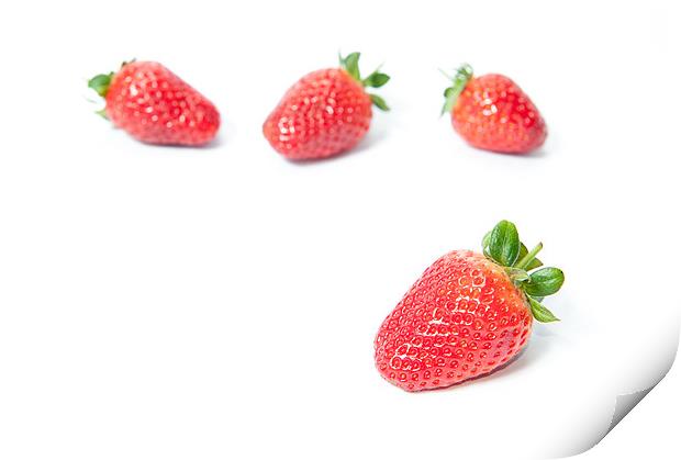 Four Strawberries Print by Helen Northcott