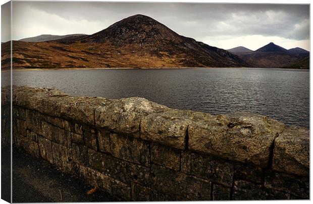 Silent Valley - Mourne Mountains Canvas Print by Mari Lara