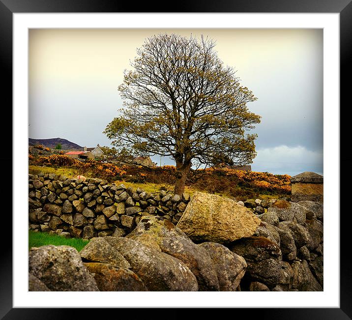 Tree at the Mourne Mountains Framed Mounted Print by Mari Lara