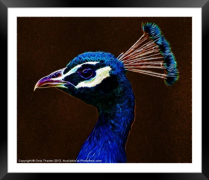 Fractalius Peacock Framed Mounted Print by Chris Thaxter