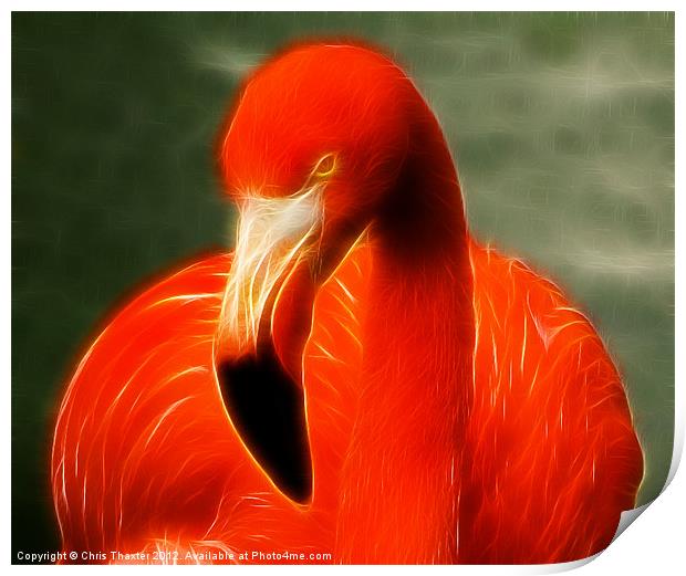 Fractalius Flamingo Print by Chris Thaxter