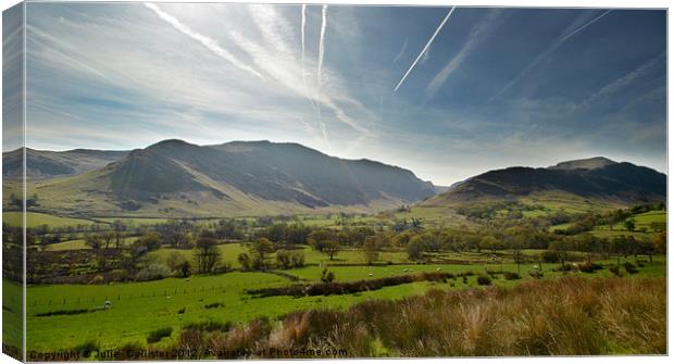Near Buttermere Canvas Print by Julie  Chambers