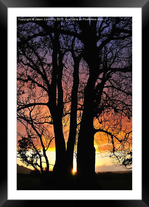 Sunset Tree Framed Mounted Print by Jason Connolly