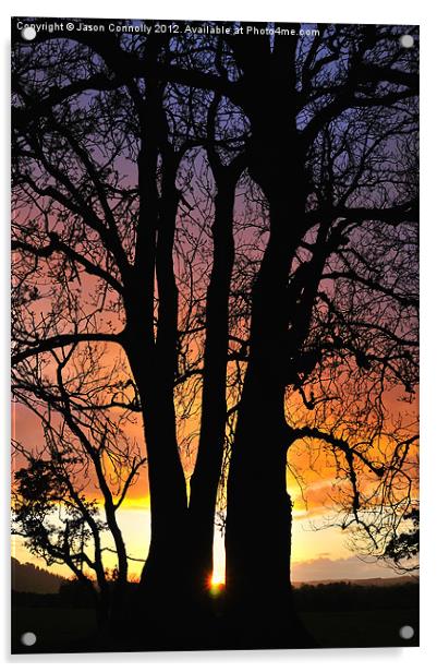 Sunset Tree Acrylic by Jason Connolly