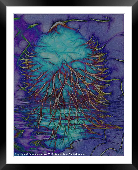 Banksia Grandis Abstract Framed Mounted Print by Fiona Messenger