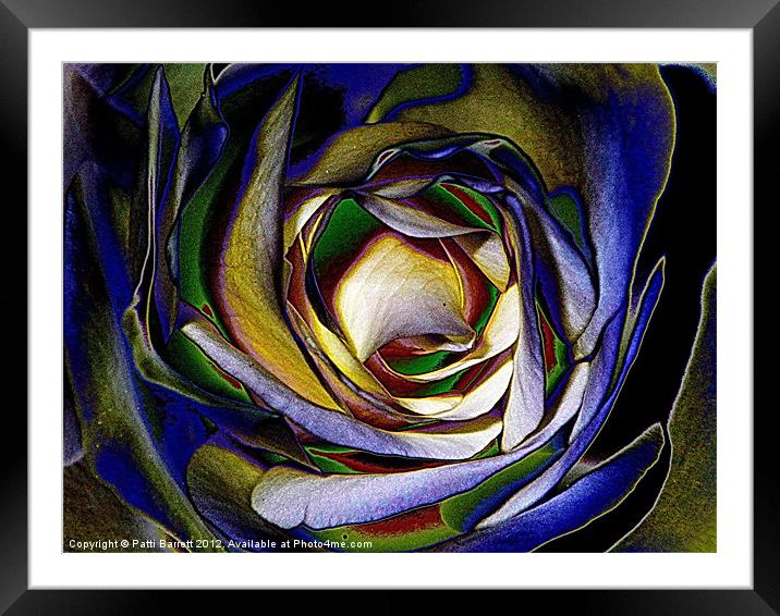 Rose in primary color abstract Framed Mounted Print by Patti Barrett