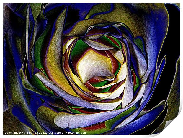Rose in primary color abstract Print by Patti Barrett