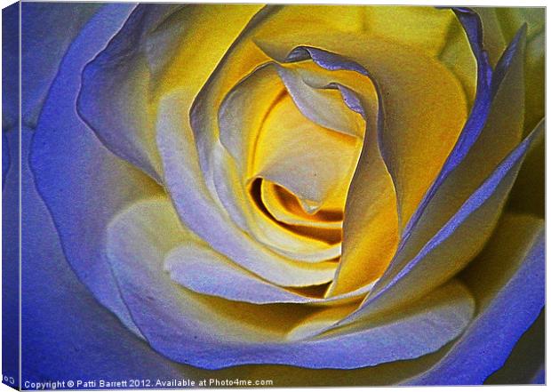 Rose in blue and gold Canvas Print by Patti Barrett