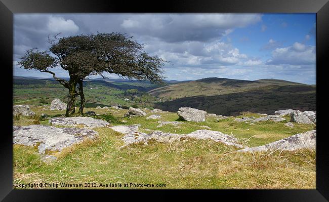 A tree and some rocks Framed Print by Phil Wareham