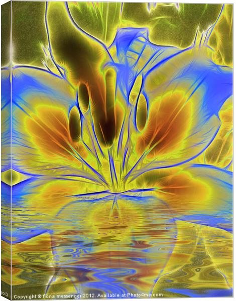 Reflections of Blue Lily Canvas Print by Fiona Messenger