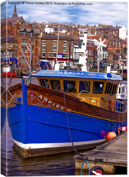 The Boat Aspire Canvas Print by Trevor Kersley RIP