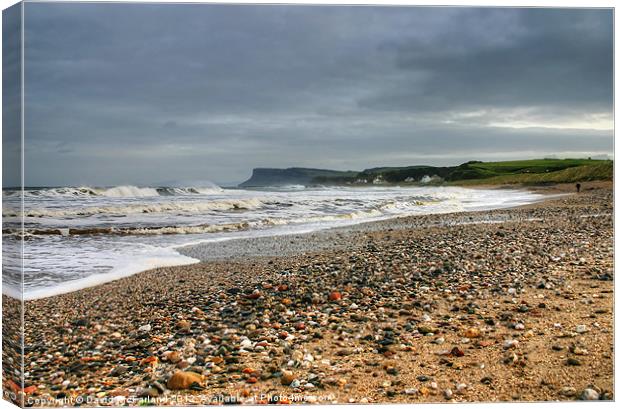 Winter winds at Ballycastle Canvas Print by David McFarland