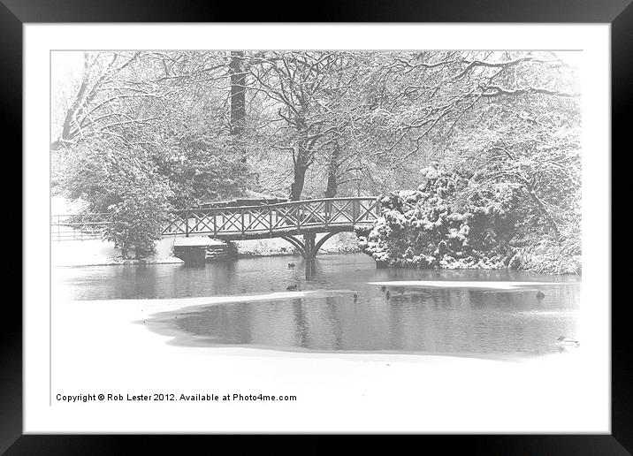 Winter in the Park Framed Mounted Print by Rob Lester