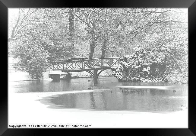 Winter in the Park Framed Print by Rob Lester