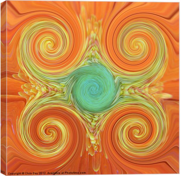 Gerbera Abstract b Canvas Print by Chris Day