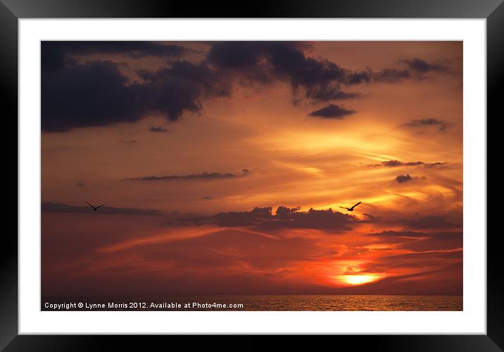 Blazings Sunset Framed Mounted Print by Lynne Morris (Lswpp)
