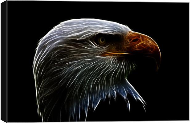 Bald Eagle Profile Fractualis Canvas Print by Dean Messenger