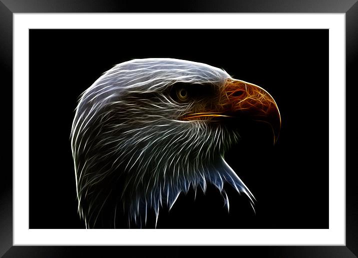 Bald Eagle Profile Fractualis Framed Mounted Print by Dean Messenger
