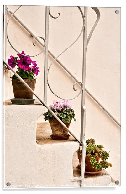 Three Plants - Italy Acrylic by David Lewins (LRPS)