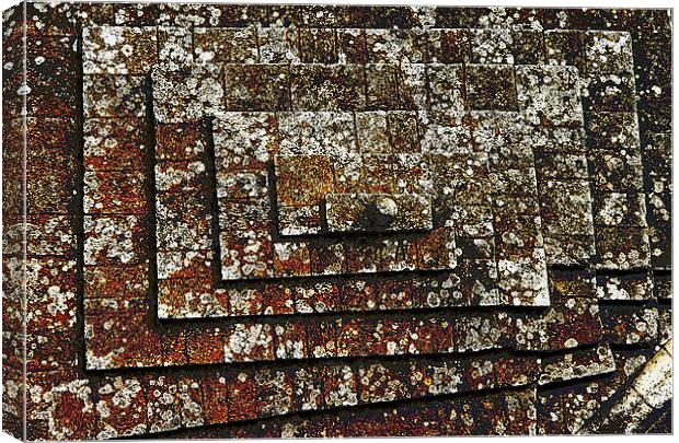 Lichen on a Stone Roof Canvas Print by Andrew Rickinson