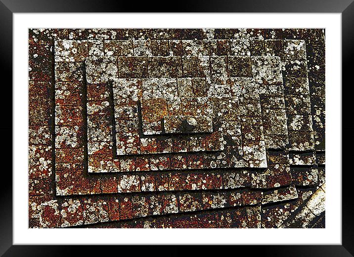 Lichen on a Stone Roof Framed Mounted Print by Andrew Rickinson