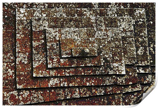 Lichen on a Stone Roof Print by Andrew Rickinson