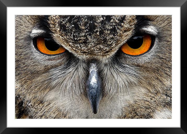 Eagle Owl Framed Mounted Print by Magdalena Kniecicka
