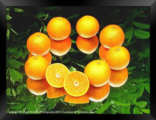 O is for Orange Framed Print by Colin Williams Photography