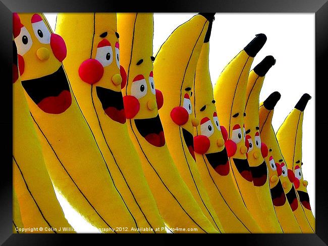 Happy Fruit! Framed Print by Colin Williams Photography