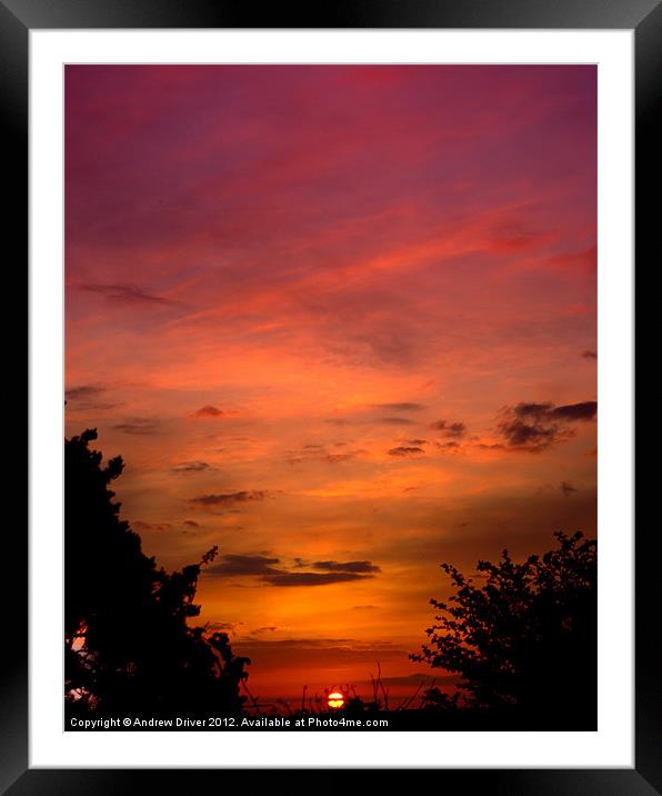 Sunset hedge Framed Mounted Print by Andrew Driver